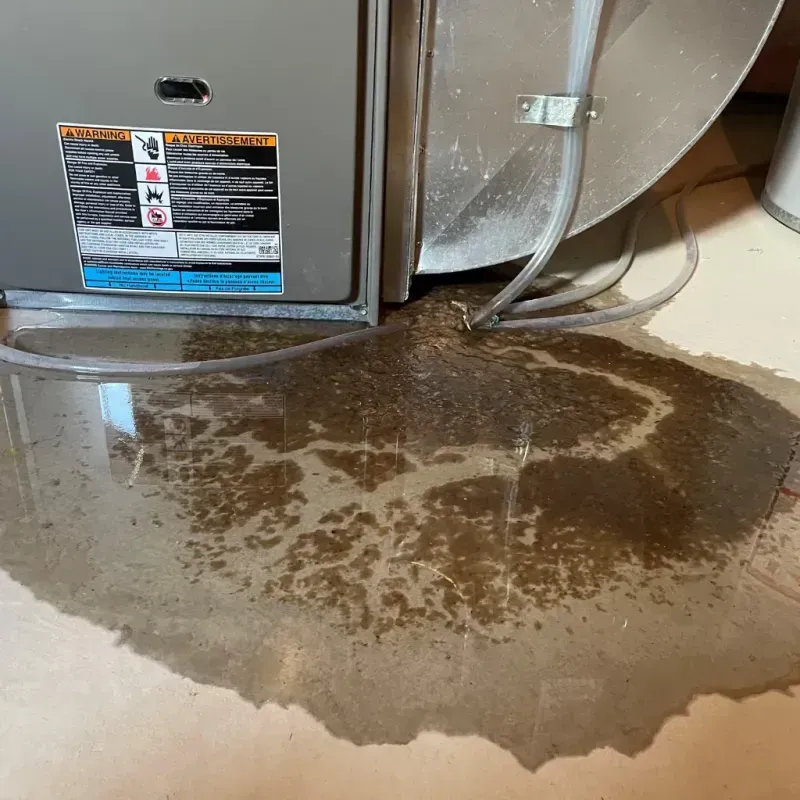 Appliance Leak Cleanup in Brent, AL